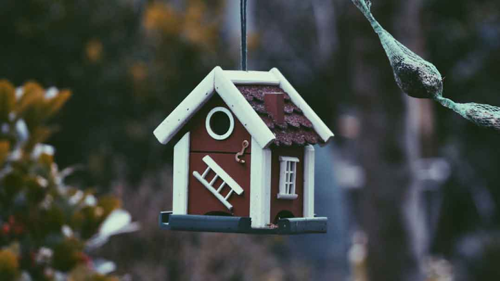 Prime Realty Developers